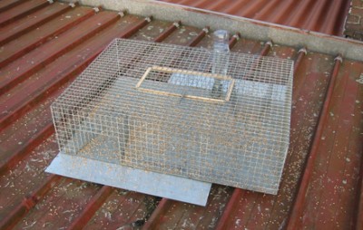 cage de capture