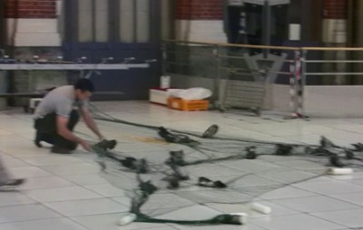 capture de pigeons dans les gares
