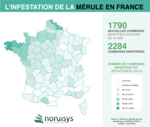 Carte infestation de la mérule en france