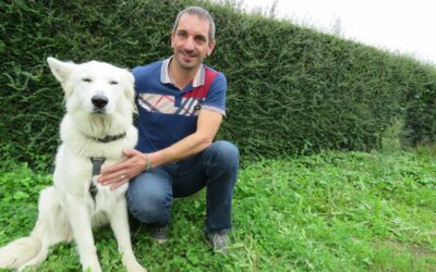 Le premier chien renifleur de mérule dans le Finistère