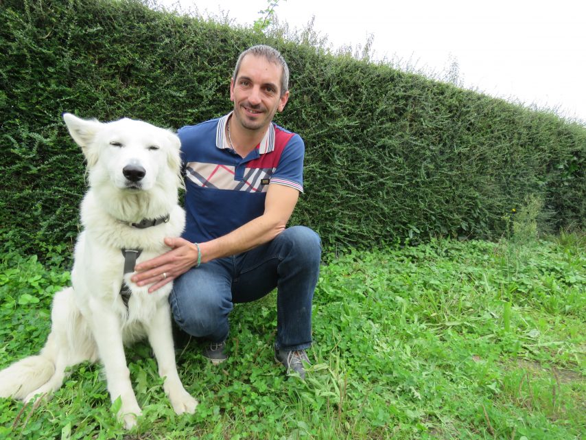 Le premier chien renifleur de mérule dans le Finistère