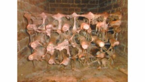 merule cave à vin